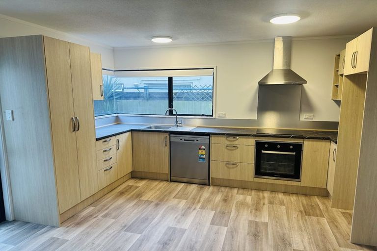 Photo of property in 40b Willoughby Street, Whitiora, Hamilton, 3200