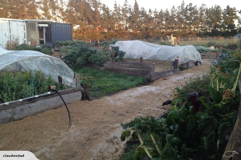 Photo of property in 148 Maskells Road, Balcairn, Amberley, 7481