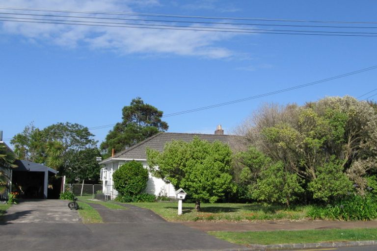 Photo of property in 17 Neville Street, Point Chevalier, Auckland, 1022