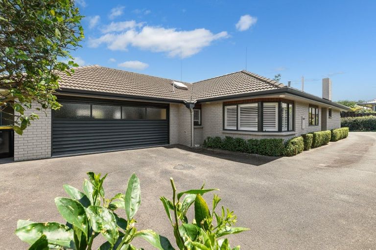 Photo of property in 55 Kings Avenue, Matua, Tauranga, 3110