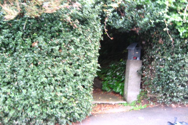 Photo of property in 48 College Street, Caversham, Dunedin, 9012