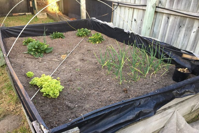 Photo of property in 11 Woodgrove Avenue, North New Brighton, Christchurch, 8083