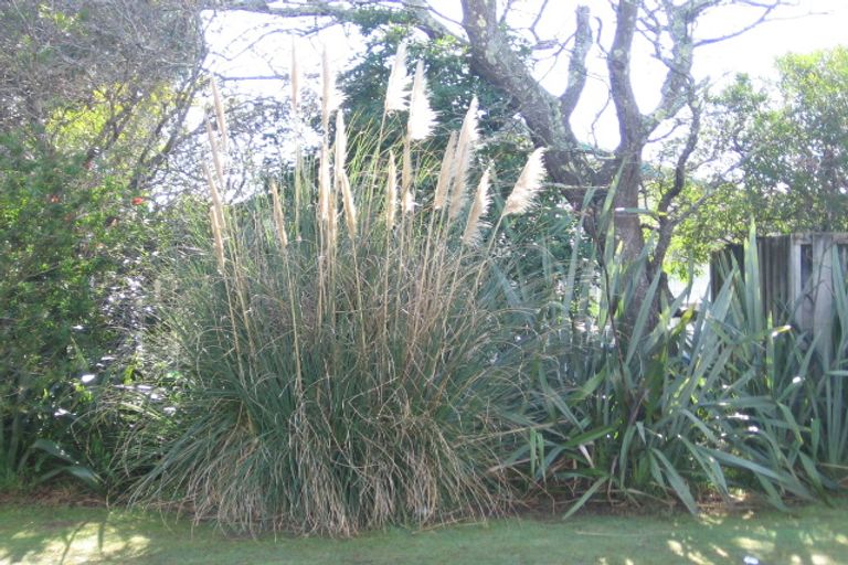 Photo of property in 218a Aickin Road, Whangamata, 3620