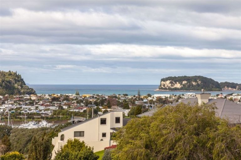 Photo of property in 144 Tirohanga Drive, Whangamata, 3620