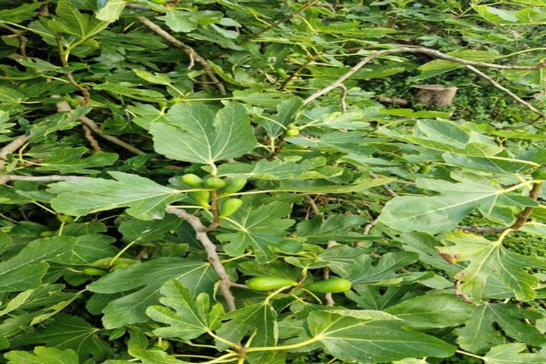 Photo of property in 88b Townsend Road, Miramar, Wellington, 6022