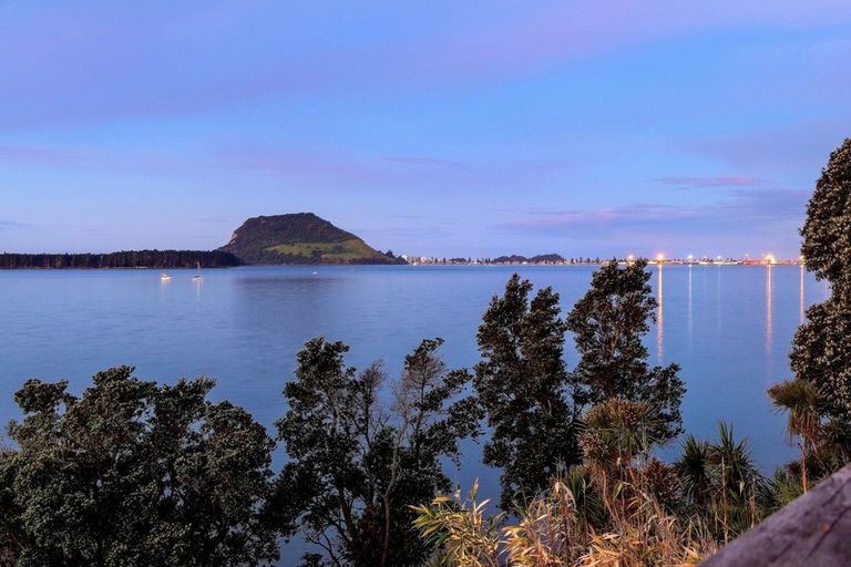 Photo of property in 41 Woods Avenue, Matua, Tauranga, 3110