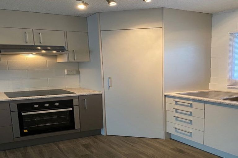 Photo of property in 170 Ulster Street, Whitiora, Hamilton, 3200