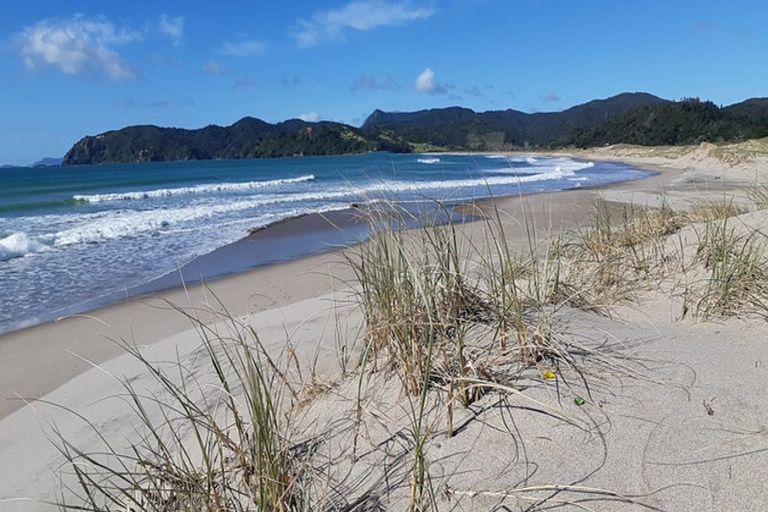 Photo of property in 323c Waikawau Beach Road, Waikawau, Coromandel, 3584