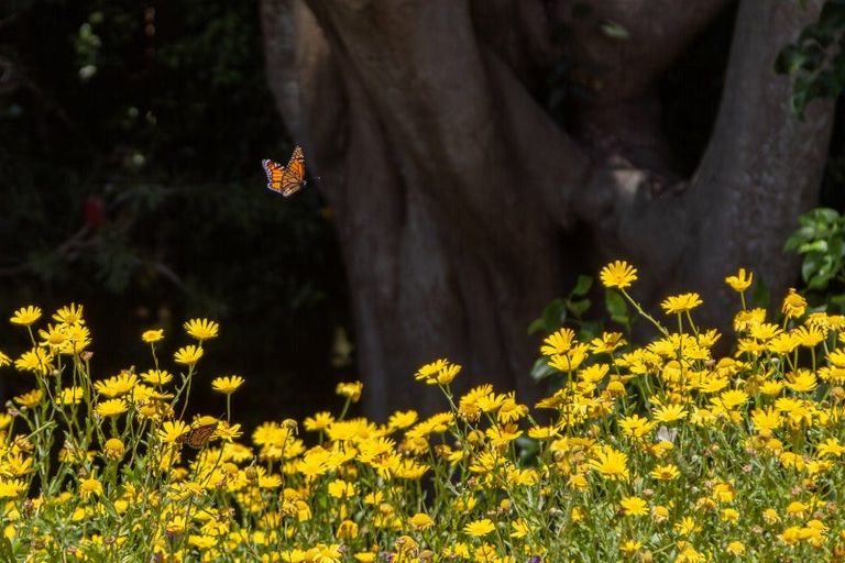 Photo of property in 90-92 Kiwi Road, Raumati Beach, Paraparaumu, 5032