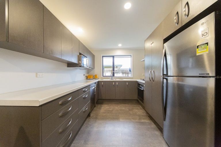 Photo of property in 67 Balrickard Way, Milson, Palmerston North, 4414