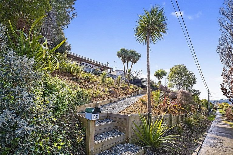 Photo of property in 37 Joseph Street, Gore, 9710