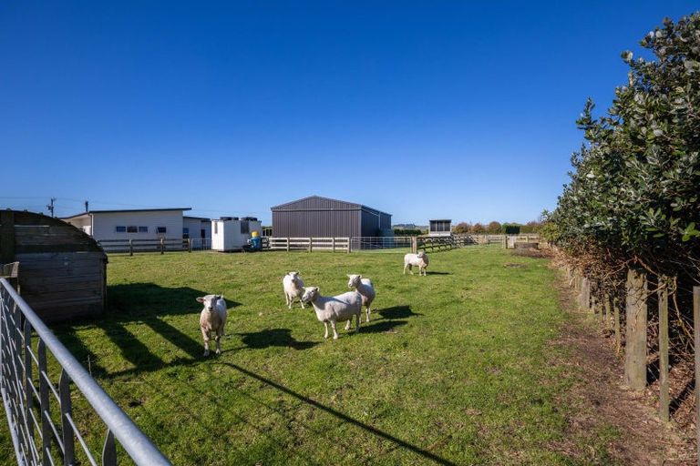 Photo of property in 270 Turangi Road, Tikorangi, Waitara, 4383