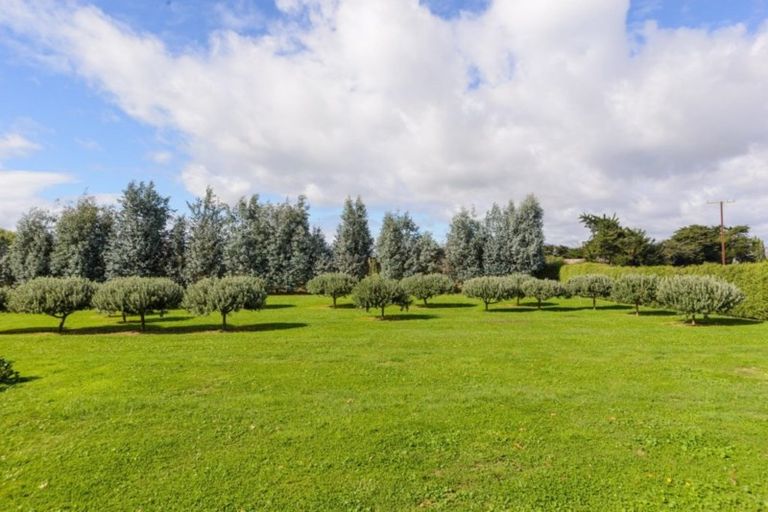 Photo of property in 71 Rowley Crescent, Grovetown, Blenheim, 7202