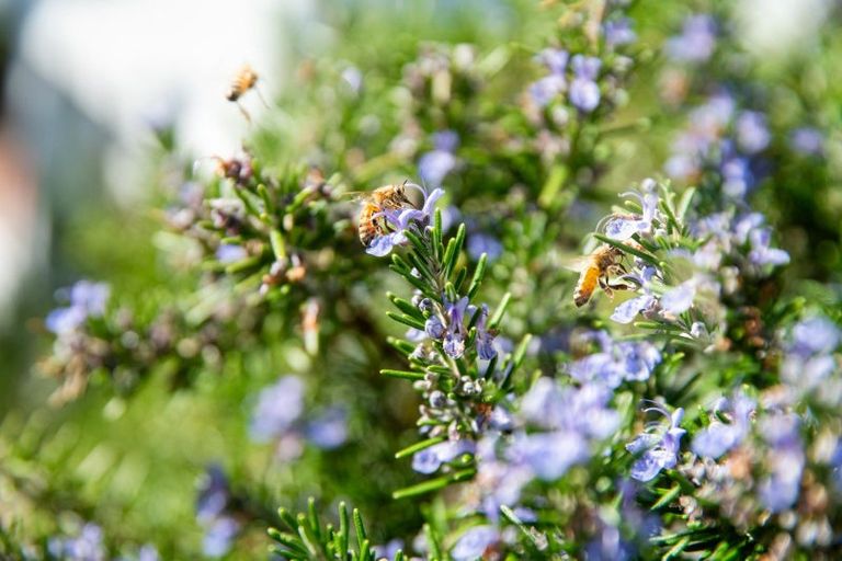 Photo of property in 8 Port Street, Mount Victoria, Wellington, 6011