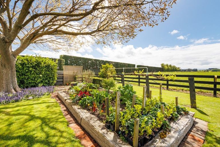 Photo of property in 192 Mill Road, Rongotea, Palmerston North, 4476