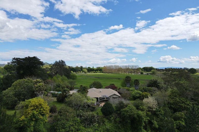 Photo of property in 605 Tirau Road, Cambridge, 3496
