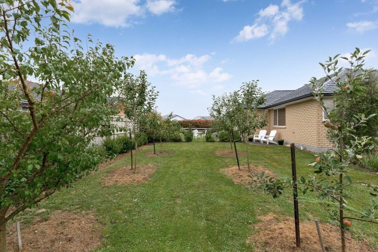 Photo of property in 1 Fantail Avenue, Carterton, 5713