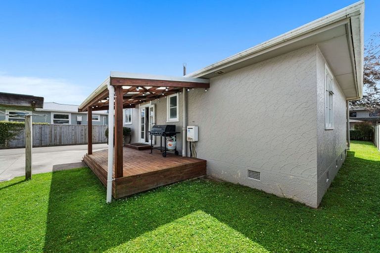 Photo of property in 19 Salisbury Avenue, Terrace End, Palmerston North, 4410