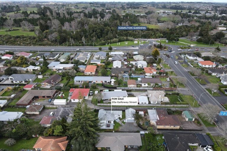 Photo of property in 20a Galloway Street, Hamilton East, Hamilton, 3216