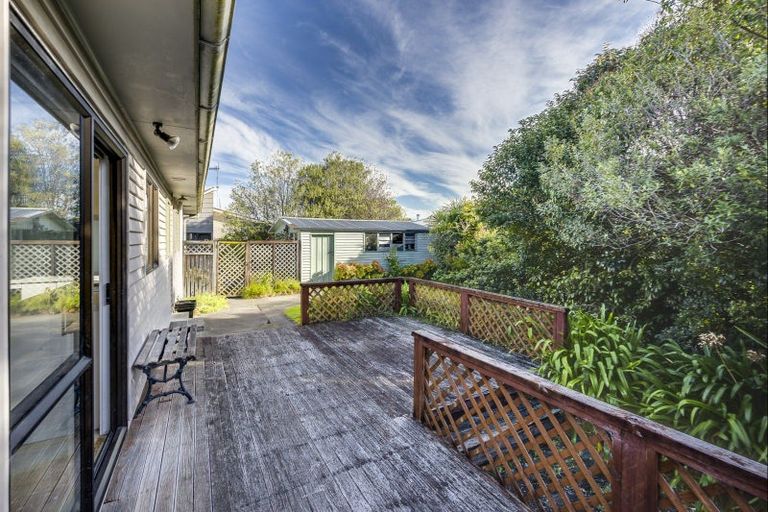 Photo of property in 59 Leicester Avenue, Tamatea, Napier, 4112