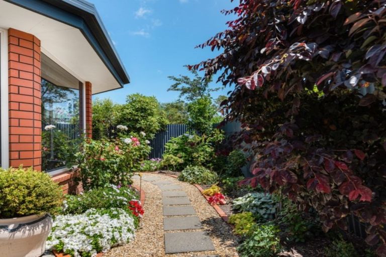 Photo of property in 12c Carvell Street, Blenheim, 7201