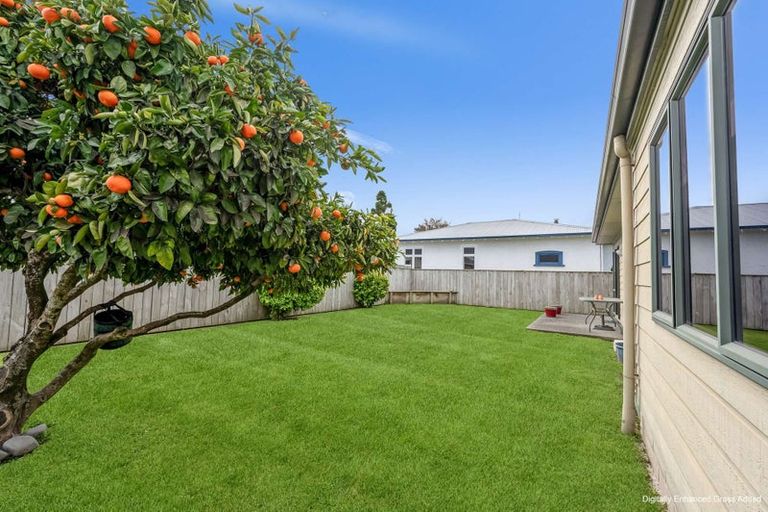Photo of property in 800 Princes Street, Parkvale, Hastings, 4122