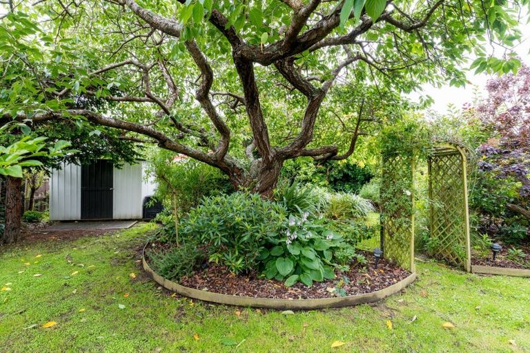 Photo of property in 3 Rimu Court, Mosgiel, 9024