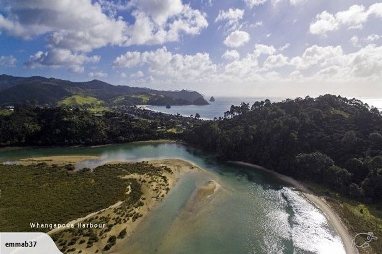 Photo of property in 46 Te Punga Road, Whangapoua, Coromandel, 3582