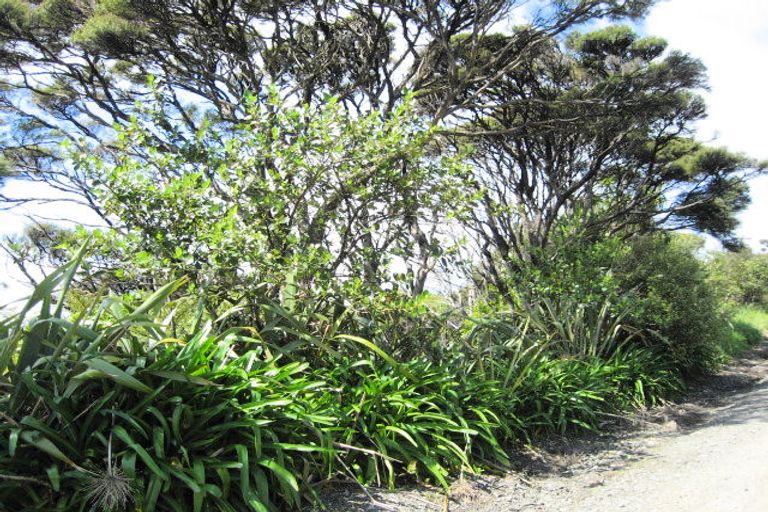 Photo of property in 43a Te Ahuahu Road, Piha, New Lynn, 0772