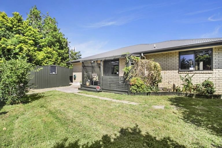 Photo of property in 19 Goodall Street, Dinsdale, Hamilton, 3204