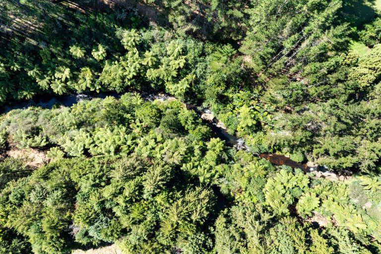 Photo of property in 168 Youngson Road, Whakamarama, Tauranga, 3179