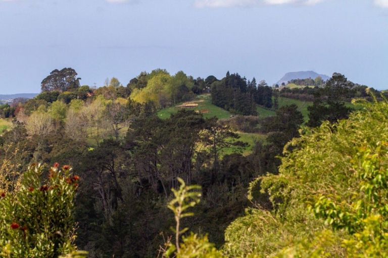 Photo of property in 475 Work Road, Whakamarama, Katikati, 3181