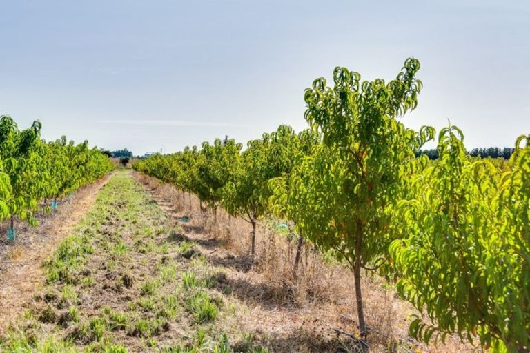 Photo of property in 238 Stock Road, Bridge Pa, Hastings, 4175