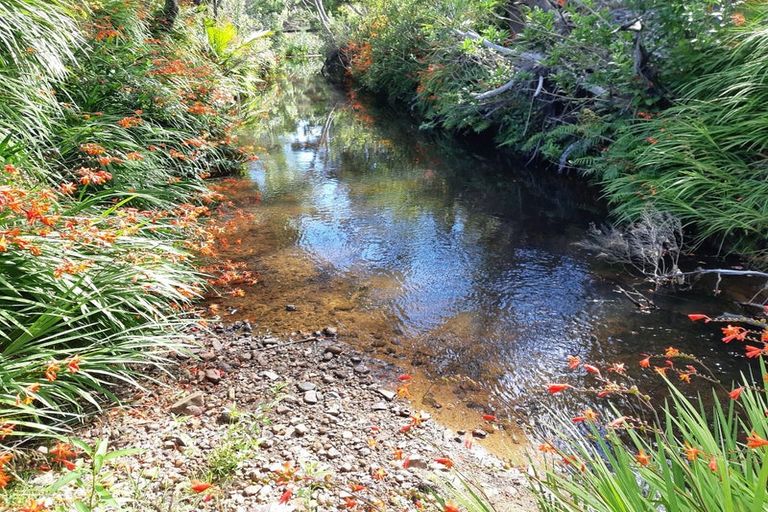 Photo of property in 323c Waikawau Beach Road, Waikawau, Coromandel, 3584