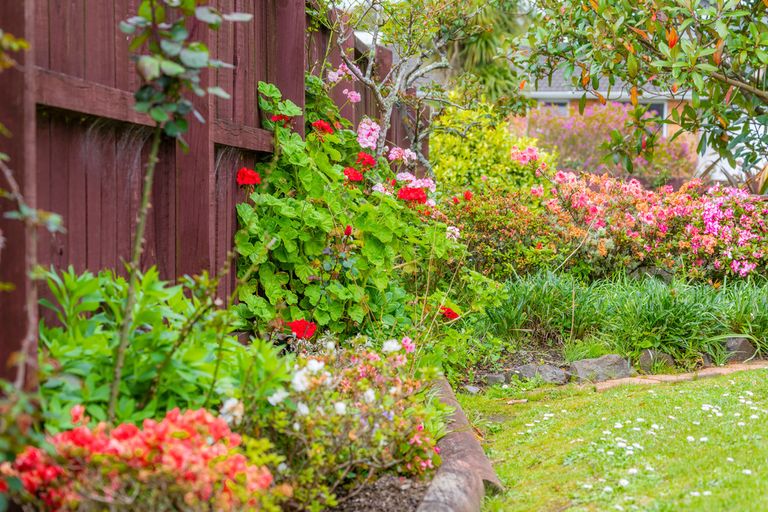 Photo of property in 7/54 Nikau Street, New Lynn, Auckland, 0600