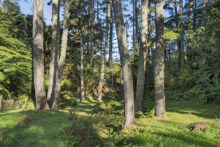 Photo of property in 1128a Omanawa Road, Omanawa, 3171