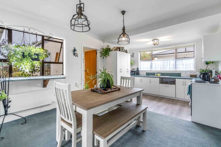 Photo of property in 39 Carlyle Street, Mataura, 9712