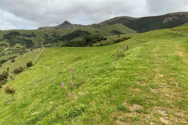 Photo of property in 195 Jubilee Road, Wainui, French Farm, 7582