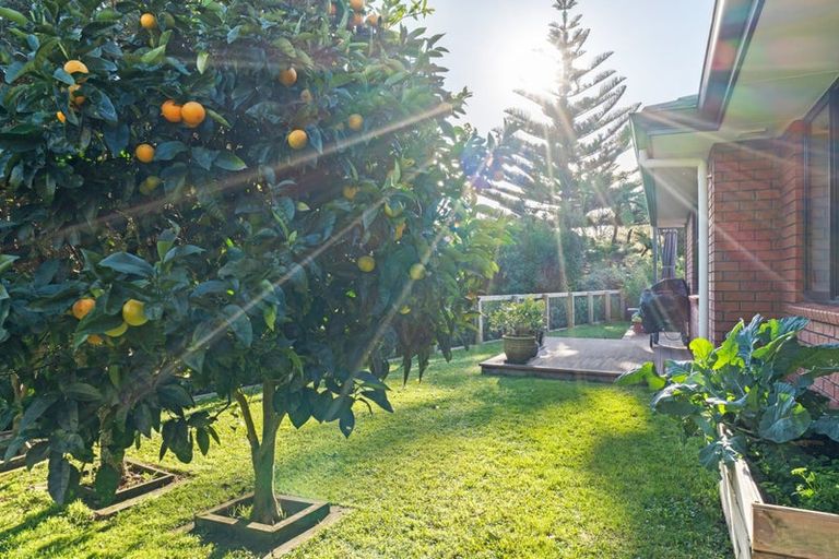 Photo of property in 88a Govett Avenue, Frankleigh Park, New Plymouth, 4310