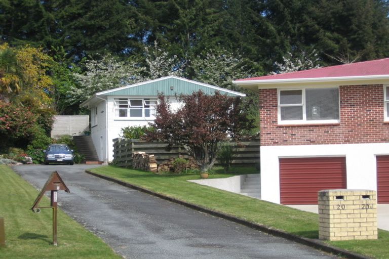 Photo of property in 20 Mcdowell Street, Springfield, Rotorua, 3015