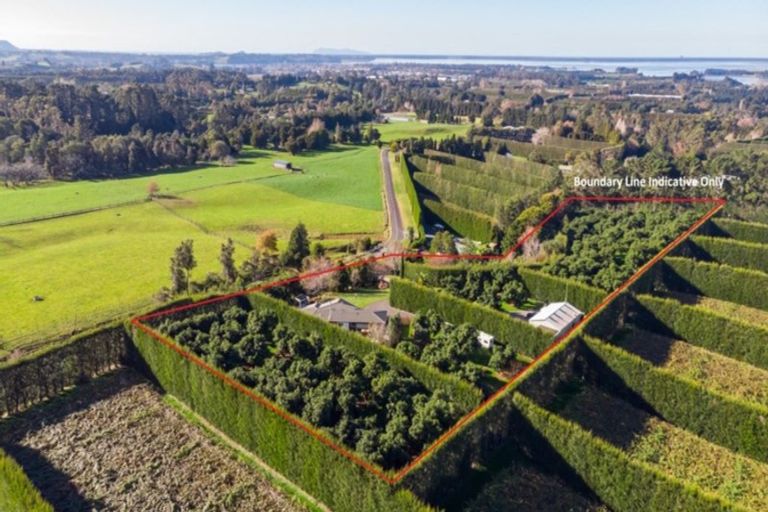 Photo of property in 203 Rea Road, Tahawai, Katikati, 3178