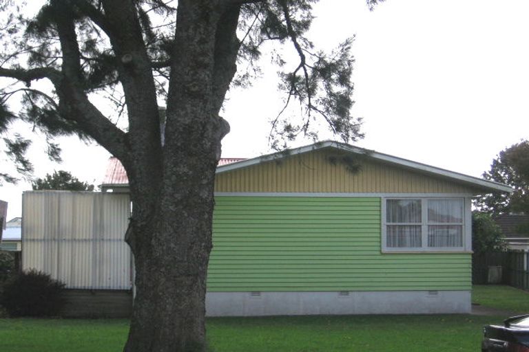 Photo of property in 55 Pinedale Place, Henderson, Auckland, 0610