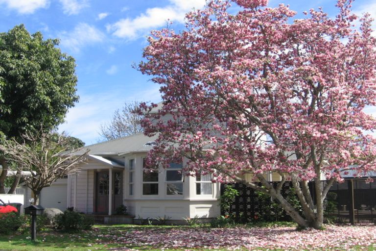 Photo of property in 5 Kiwi Crescent, Tauranga South, Tauranga, 3112