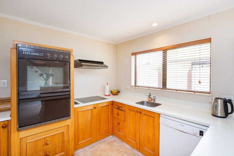 Photo of property in 483b Ruahine Street, Terrace End, Palmerston North, 4410