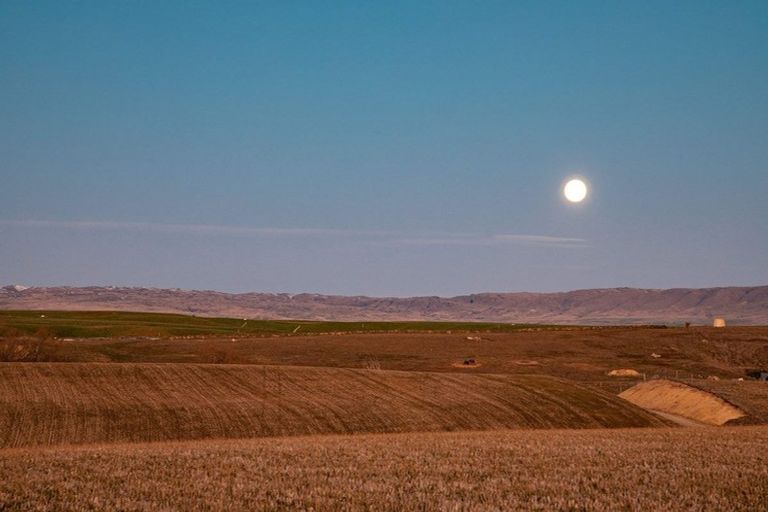 Photo of property in 355 Golden Road, Springvale, Alexandra, 9393