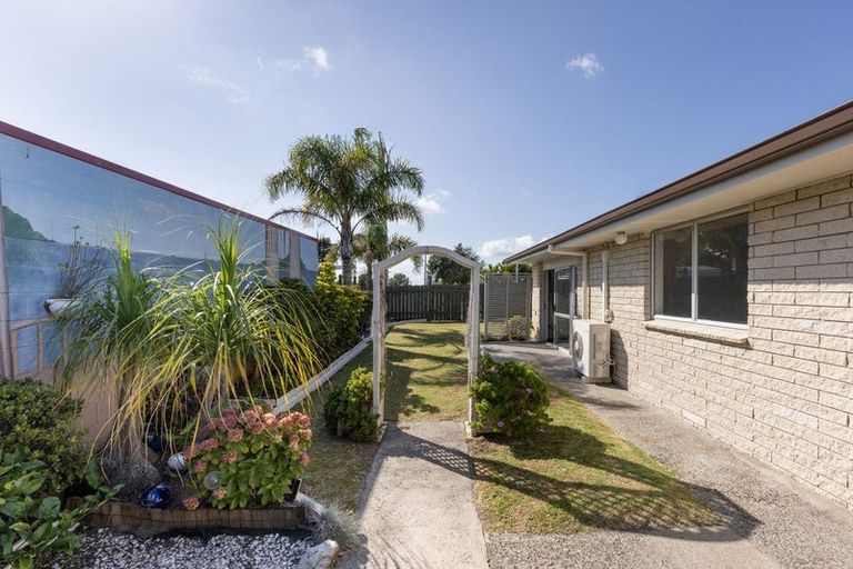 Photo of property in 41 Concord Avenue, Mount Maunganui, 3116