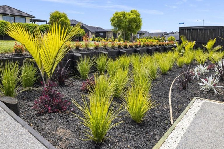 Photo of property in 9 Kahawai Place, Omokoroa, 3114