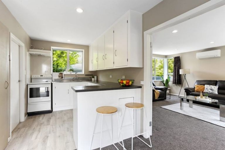 Photo of property in 12 Salmond Street, Hoon Hay, Christchurch, 8025