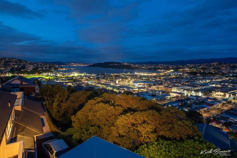 Photo of property in 42 Lerwick Terrace, Melrose, Wellington, 6023