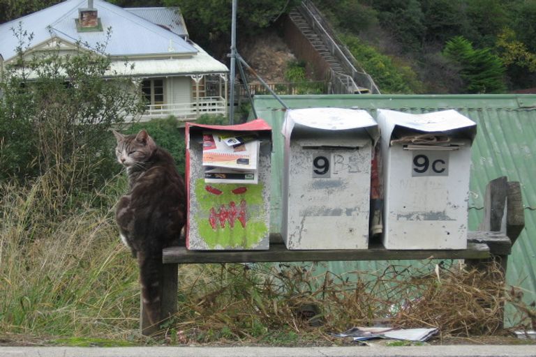 Photo of property in 9 Guys Hill Road, Hospital Hill, Napier, 4110